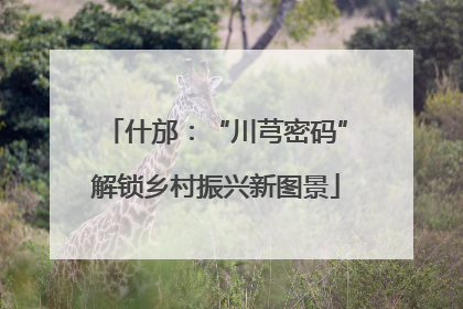 什邡：“川芎密码”解锁乡村振兴新图景