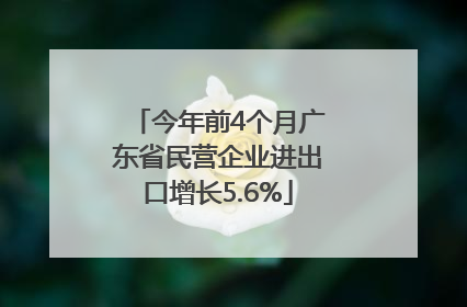 今年前4个月广东省民营企业进出口增长5.6%