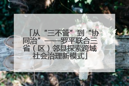 从“三不管”到“协同治”——罗平联合三省（区）邻县探索跨域社会治理新模式