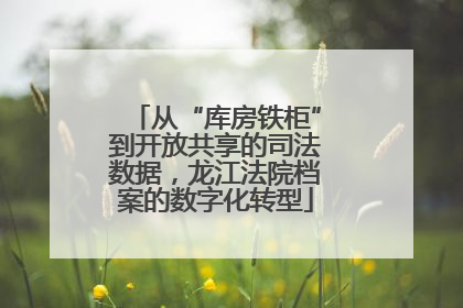 从“库房铁柜”到开放共享的司法数据，龙江法院档案的数字化转型