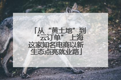 从“黄土地”到“云订单” 上海这家知名电商以新生态点亮就业路