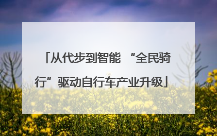 从代步到智能 “全民骑行”驱动自行车产业升级