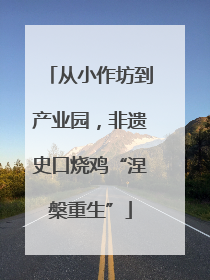 从小作坊到产业园，非遗史口烧鸡“涅槃重生”