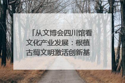 从文博会四川馆看文化产业发展：根植古蜀文明激活创新基因｜文博向“新”