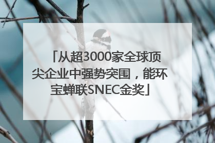 从超3000家全球顶尖企业中强势突围，能环宝蝉联SNEC金奖