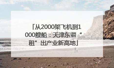从2000架飞机到1000艘船：天津东疆“租”出产业新高地