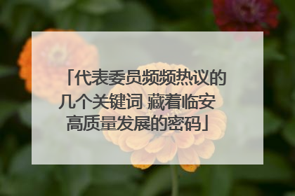 代表委员频频热议的几个关键词 藏着临安高质量发展的密码