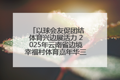 以球会友促团结 体育兴边展活力 2025年云南省边境幸福村体育嘉年华三人篮球赛圆满收官