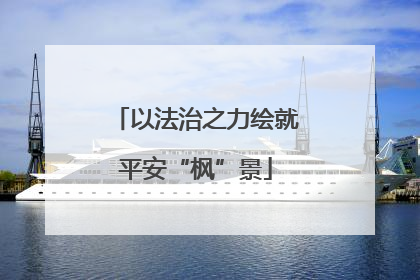 以法治之力绘就平安“枫”景