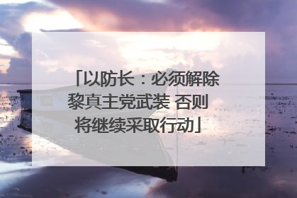以防长：必须解除黎真主党武装 否则将继续采取行动