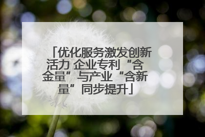 优化服务激发创新活力 企业专利“含金量”与产业“含新量”同步提升