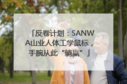 反卷计划：SANWA山业人体工学鼠标，手腕从此“躺赢”