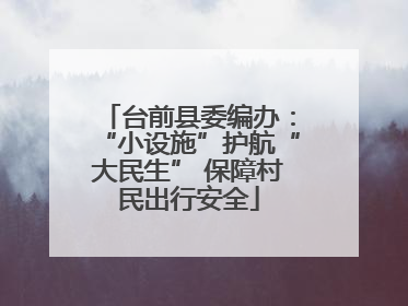 台前县委编办：“小设施”护航“大民生” 保障村民出行安全