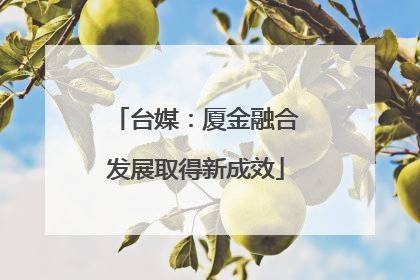 台媒：厦金融合发展取得新成效