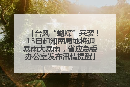 台风“蝴蝶”来袭！13日起湘南局地将迎暴雨大暴雨，省应急委办公室发布汛情提醒
