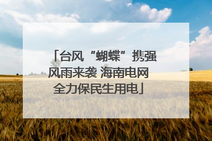 台风“蝴蝶”携强风雨来袭 海南电网全力保民生用电