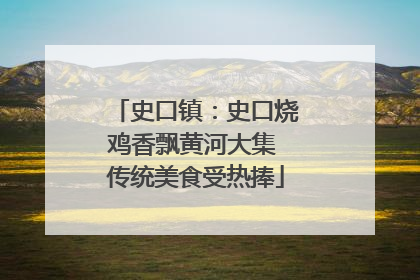 史口镇：史口烧鸡香飘黄河大集 传统美食受热捧