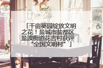 千亩葵园绽放文明之花！盐城市盐都区盐渎街道花吉村获评“全国文明村”