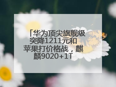 华为顶尖旗舰级突降1211元和苹果打价格战，麒麟9020+1TB+卫星通信！