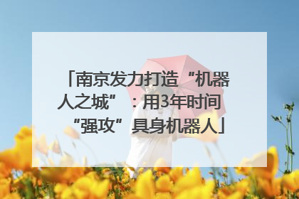南京发力打造“机器人之城”：用3年时间“强攻”具身机器人