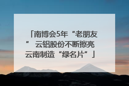 南博会5年“老朋友” 云铝股份不断擦亮云南制造“绿名片”