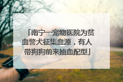 南宁一宠物医院为贫血警犬征集血源，有人带狗狗前来抽血配型