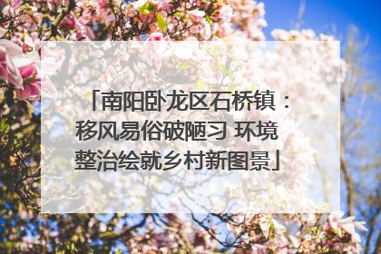 南阳卧龙区石桥镇：移风易俗破陋习 环境整治绘就乡村新图景