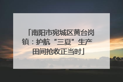 南阳市宛城区黄台岗镇：护航“三夏”生产 田间抢收正当时