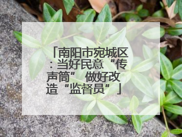 南阳市宛城区：当好民意“传声筒” 做好改造“监督员”