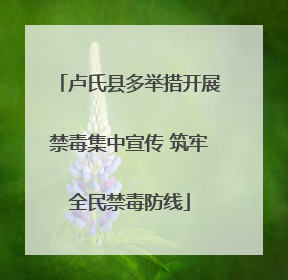 卢氏县多举措开展禁毒集中宣传 筑牢全民禁毒防线