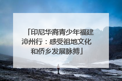印尼华裔青少年福建漳州行：感受祖地文化和侨乡发展脉搏