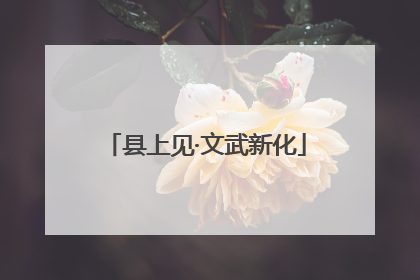 县上见·文武新化