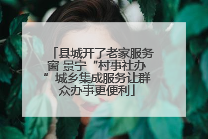县城开了老家服务窗 景宁“村事社办”城乡集成服务让群众办事更便利