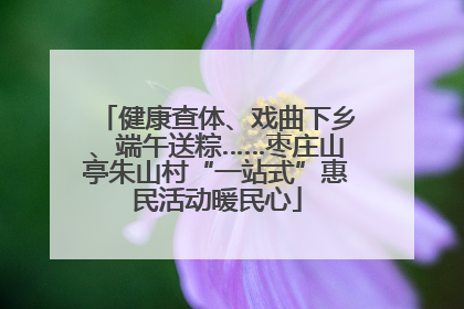 健康查体、戏曲下乡、端午送粽……枣庄山亭朱山村“一站式”惠民活动暖民心