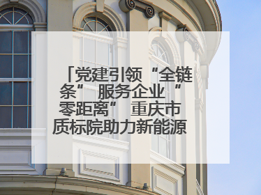 党建引领“全链条” 服务企业“零距离” 重庆市质标院助力新能源汽车产业链提升质量管理水平
