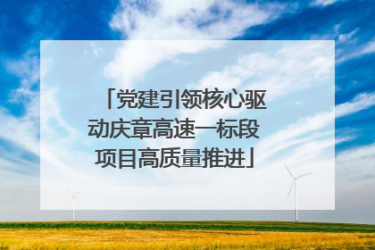 党建引领核心驱动庆章高速一标段项目高质量推进