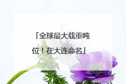 全球最大载重吨位！在大连命名