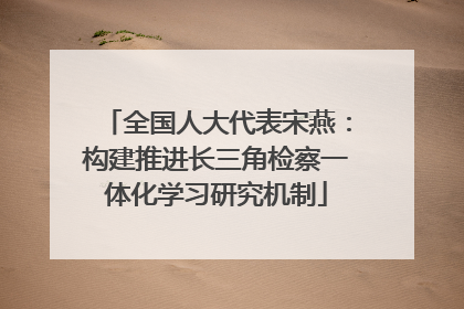 全国人大代表宋燕：构建推进长三角检察一体化学习研究机制