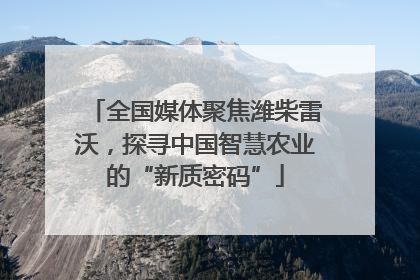 全国媒体聚焦潍柴雷沃，探寻中国智慧农业的“新质密码”
