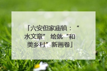 六安但家庙镇：“水文章” 绘就“和美乡村”新画卷