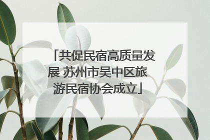 共促民宿高质量发展 苏州市吴中区旅游民宿协会成立