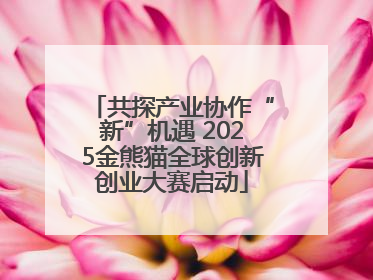 共探产业协作“新”机遇 2025金熊猫全球创新创业大赛启动