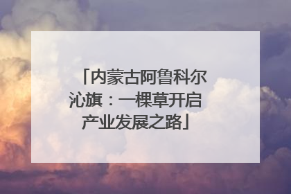内蒙古阿鲁科尔沁旗：一棵草开启产业发展之路