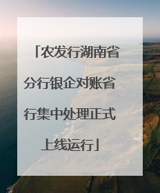 农发行湖南省分行银企对账省行集中处理正式上线运行