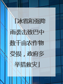冰雹和强降雨袭击致巴中数千亩农作物受损，政府多举措救灾