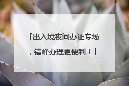 出入境夜间办证专场，错峰办理更便利！