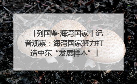 列国鉴·海湾国家丨记者观察：海湾国家努力打造中东“发展样本”