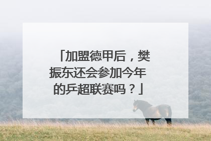 加盟德甲后，樊振东还会参加今年的乒超联赛吗？