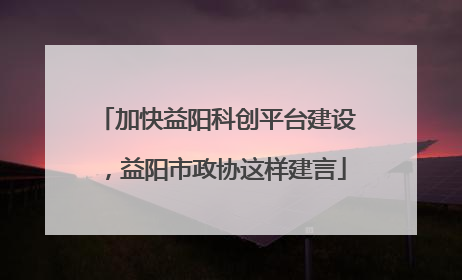 加快益阳科创平台建设，益阳市政协这样建言