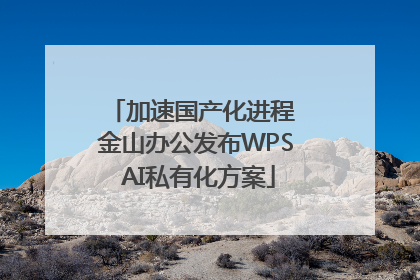 加速国产化进程 金山办公发布WPS AI私有化方案